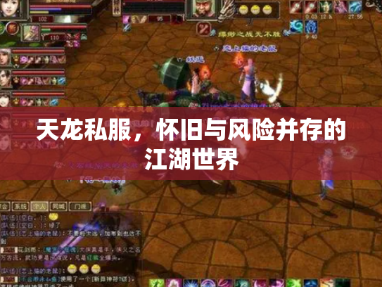 天龙私服，怀旧与风险并存的江湖世界