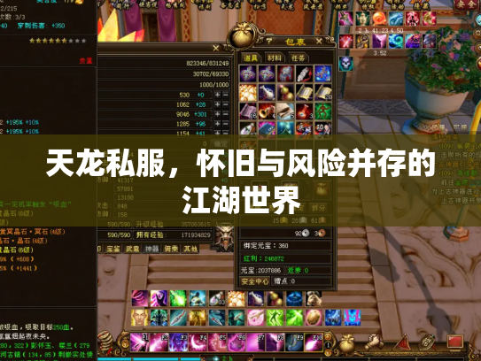 天龙私服，怀旧与风险并存的江湖世界