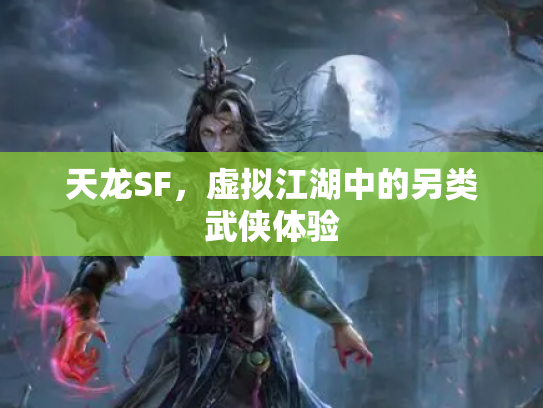 天龙SF，虚拟江湖中的另类武侠体验