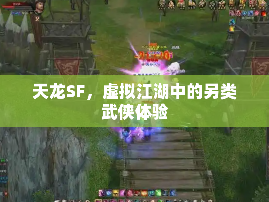 天龙SF,虚拟江湖中的另类武侠体验 天龙SF,虚拟江湖中的另类武侠体验