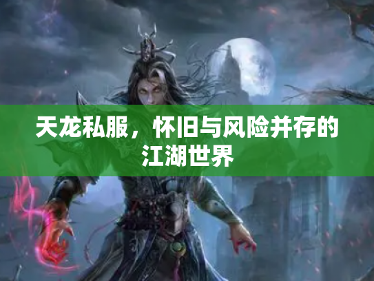 天龙私服，怀旧与风险并存的江湖世界