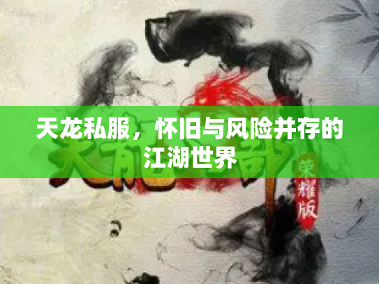 天龙私服，怀旧与风险并存的江湖世界