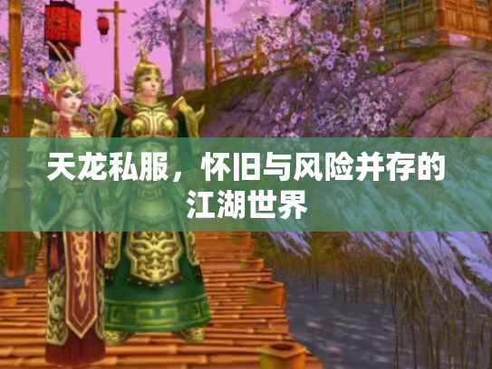 天龙私服，怀旧与风险并存的江湖世界