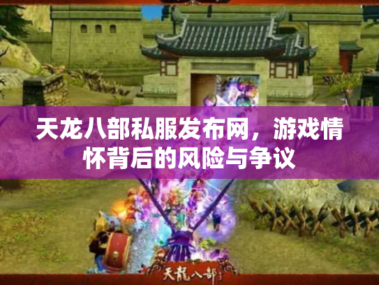 天龙八部私服发布网，游戏情怀背后的风险与争议