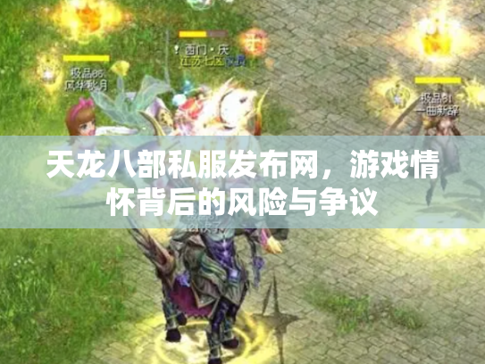 天龙八部私服发布网，游戏情怀背后的风险与争议