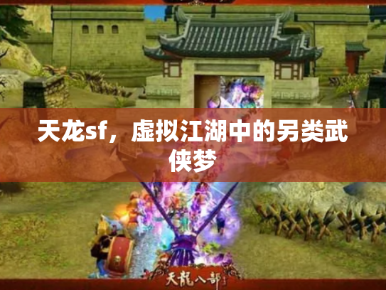 天龙sf，虚拟江湖中的另类武侠梦