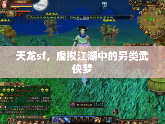 天龙sf，虚拟江湖中的另类武侠梦