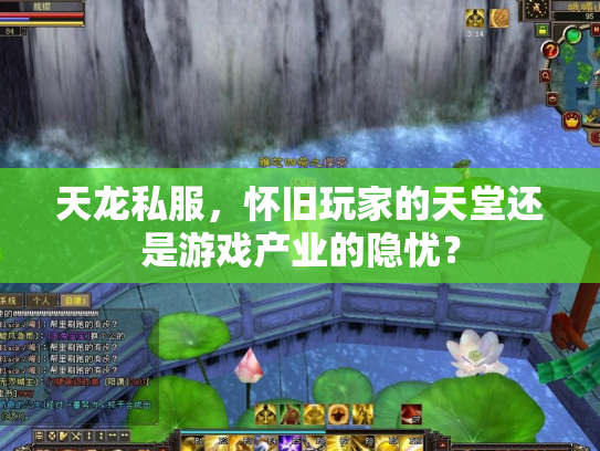 天龙私服，怀旧玩家的天堂还是游戏产业的隐忧？