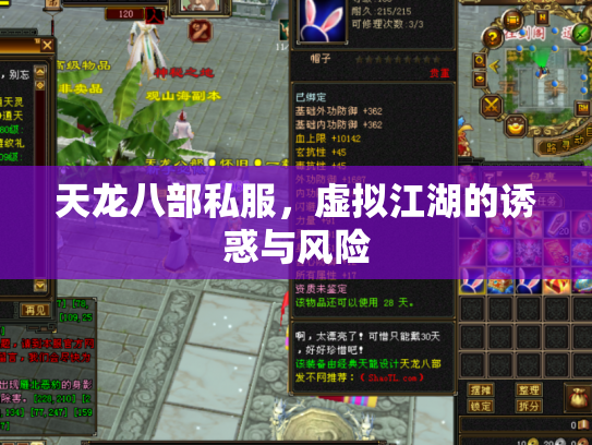 天龙八部私服，虚拟江湖的诱惑与风险