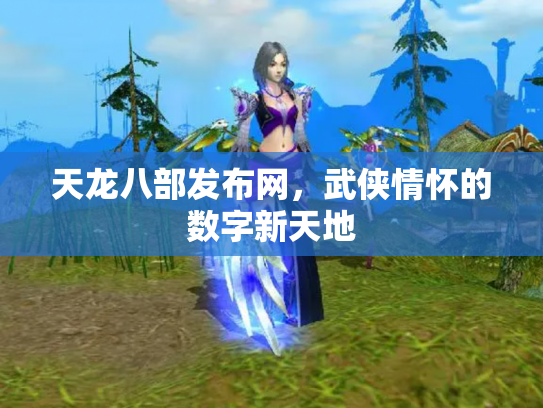 天龙八部发布网，武侠情怀的数字新天地