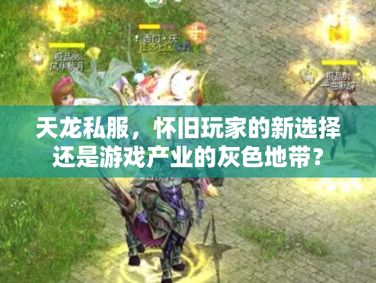 天龙私服，怀旧玩家的新选择还是游戏产业的灰色地带？