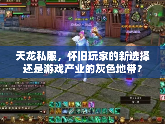 天龙私服，怀旧玩家的新选择还是游戏产业的灰色地带？