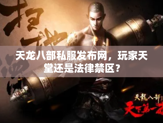 天龙八部私服发布网，玩家天堂还是法律禁区？