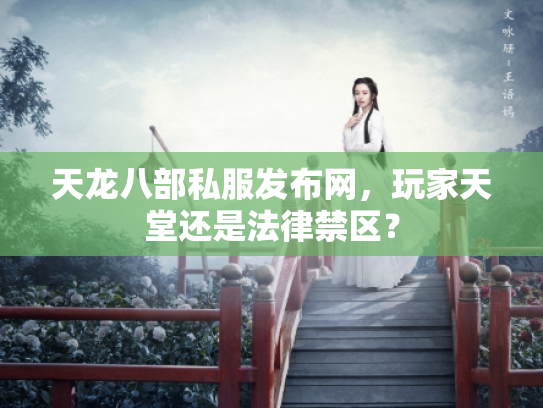 天龙八部私服发布网，玩家天堂还是法律禁区？