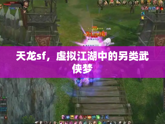 天龙sf，虚拟江湖中的另类武侠梦