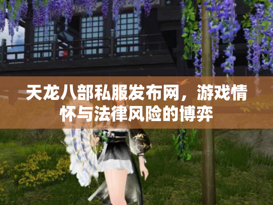 天龙八部私服发布网，游戏情怀与法律风险的博弈