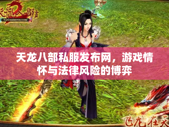 天龙八部私服发布网，游戏情怀与法律风险的博弈
