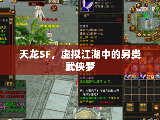 天龙SF，虚拟江湖中的另类武侠梦
