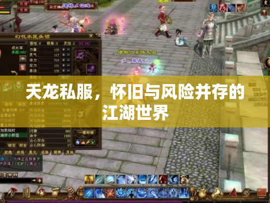 天龙私服，怀旧与风险并存的江湖世界