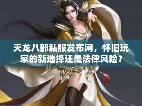 天龙八部私服发布网，怀旧玩家的新选择还是法律风险？