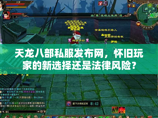 天龙八部私服发布网，怀旧玩家的新选择还是法律风险？
