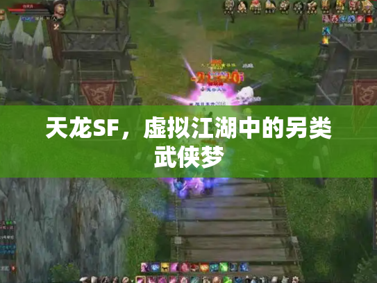 天龙SF，虚拟江湖中的另类武侠梦