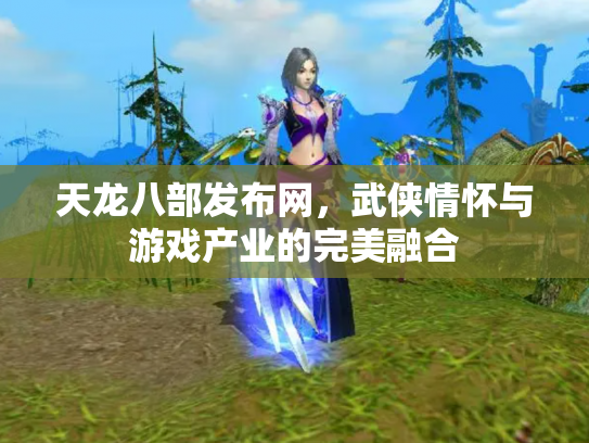 天龙八部发布网，武侠情怀与游戏产业的完美融合