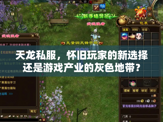 天龙私服，怀旧玩家的新选择还是游戏产业的灰色地带？