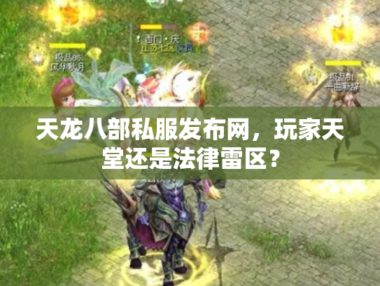 天龙八部私服发布网，玩家天堂还是法律雷区？