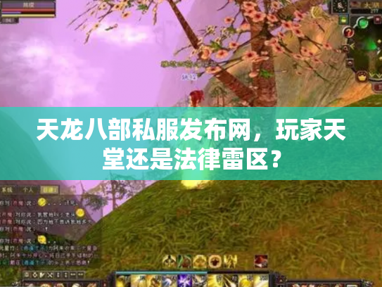 天龙八部私服发布网，玩家天堂还是法律雷区？