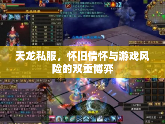 天龙私服，怀旧情怀与游戏风险的双重博弈