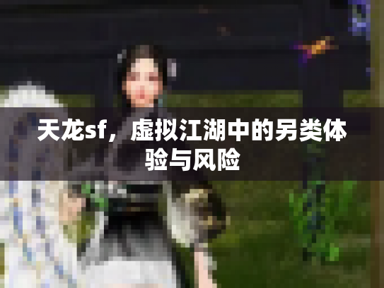 天龙sf，虚拟江湖中的另类体验与风险