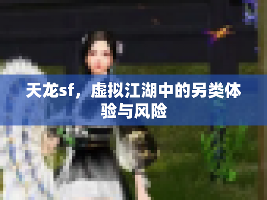 天龙sf，虚拟江湖中的另类体验与风险