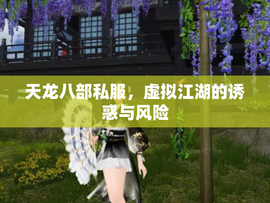 天龙八部私服，虚拟江湖的诱惑与风险