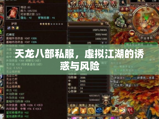 天龙八部私服，虚拟江湖的诱惑与风险
