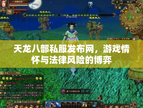 天龙八部私服发布网，游戏情怀与法律风险的博弈