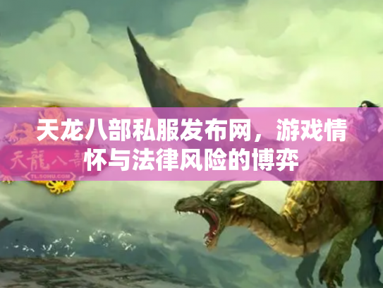 天龙八部私服发布网，游戏情怀与法律风险的博弈