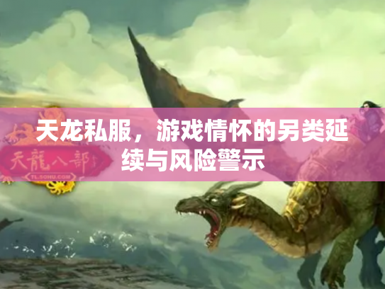 天龙私服，游戏情怀的另类延续与风险警示