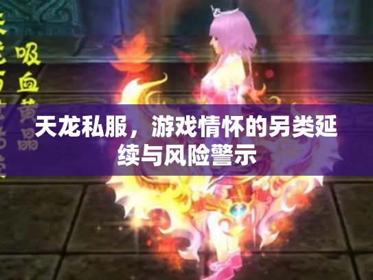 天龙私服，游戏情怀的另类延续与风险警示