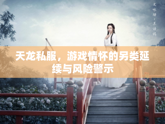 天龙私服，游戏情怀的另类延续与风险警示