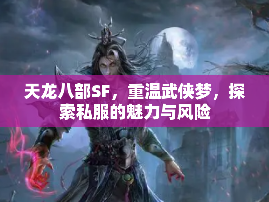 天龙八部SF，重温武侠梦，探索私服的魅力与风险
