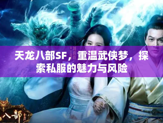 天龙八部SF，重温武侠梦，探索私服的魅力与风险