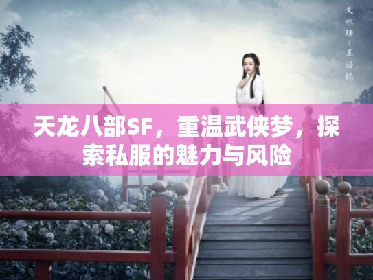 天龙八部SF，重温武侠梦，探索私服的魅力与风险