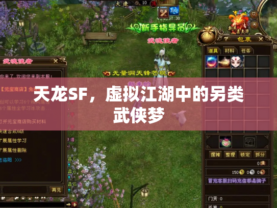 天龙SF，虚拟江湖中的另类武侠梦