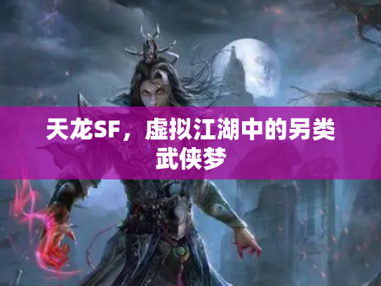 天龙SF，虚拟江湖中的另类武侠梦