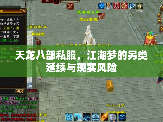 天龙八部私服，江湖梦的另类延续与现实风险