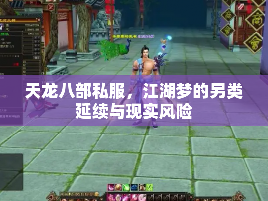 天龙八部私服，江湖梦的另类延续与现实风险