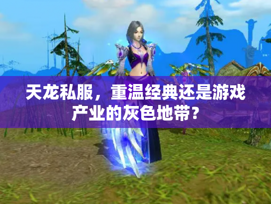 天龙私服，重温经典还是游戏产业的灰色地带？