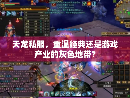 天龙私服，重温经典还是游戏产业的灰色地带？