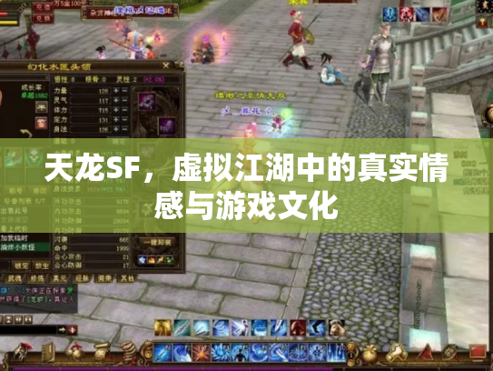 天龙SF，虚拟江湖中的真实情感与游戏文化